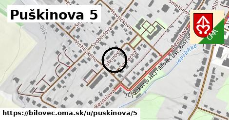 Puškinova 5, Bílovec