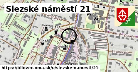 Slezské náměstí 21, Bílovec