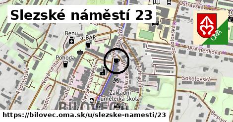 Slezské náměstí 23, Bílovec