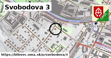 Svobodova 3, Bílovec