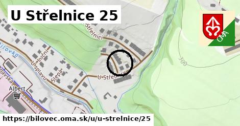 U Střelnice 25, Bílovec