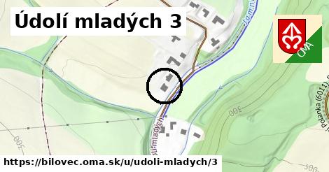 Údolí mladých 3, Bílovec