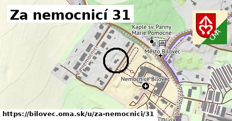 Za nemocnicí 31, Bílovec