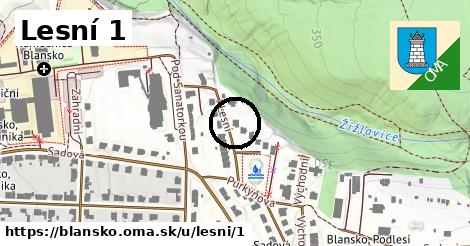 Lesní 1, Blansko
