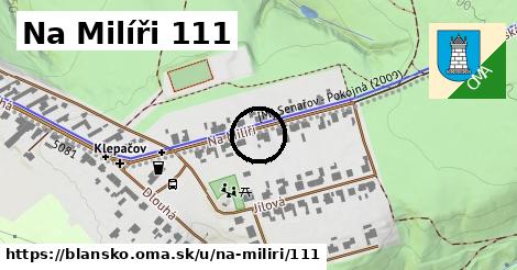 Na Milíři 111, Blansko