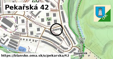 Pekařská 42, Blansko