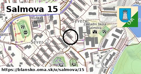 Salmova 15, Blansko