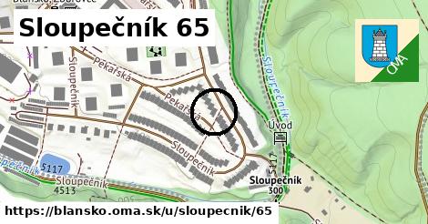 Sloupečník 65, Blansko