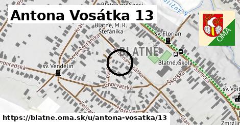 Antona Vosátka 13, Blatné