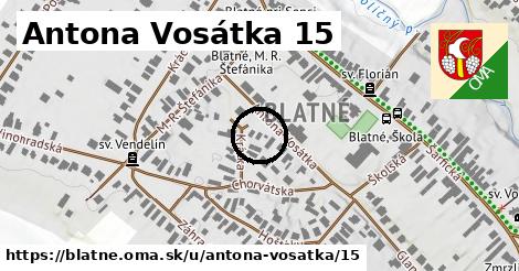 Antona Vosátka 15, Blatné