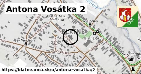 Antona Vosátka 2, Blatné