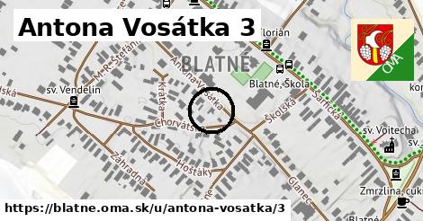 Antona Vosátka 3, Blatné