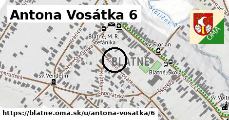 Antona Vosátka 6, Blatné