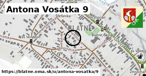 Antona Vosátka 9, Blatné