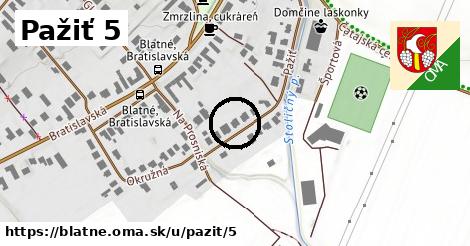 Pažiť 5, Blatné