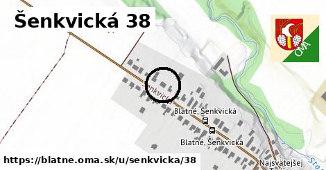 Šenkvická 38, Blatné