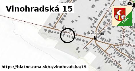 Vinohradská 15, Blatné
