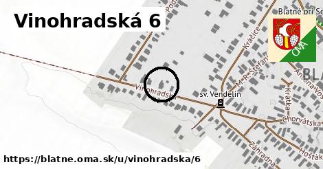 Vinohradská 6, Blatné