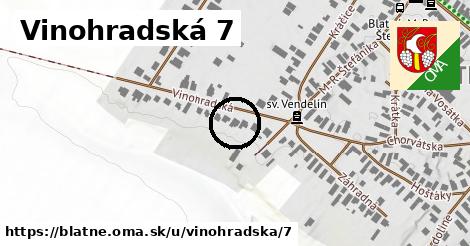 Vinohradská 7, Blatné