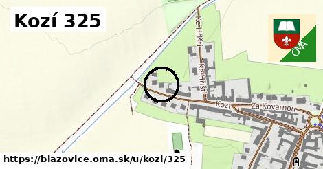 Kozí 325, Blažovice