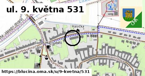 ul. 9. května 531, Blučina