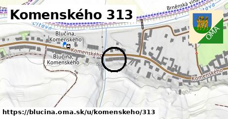 Komenského 313, Blučina