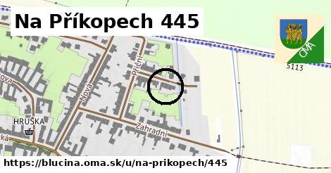 Na Příkopech 445, Blučina