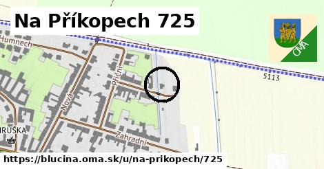 Na Příkopech 725, Blučina