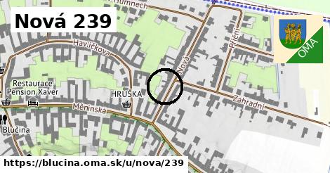 Nová 239, Blučina