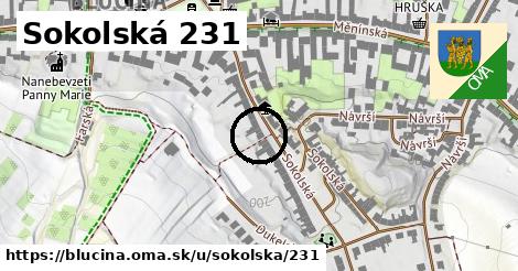 Sokolská 231, Blučina