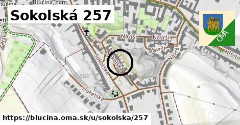 Sokolská 257, Blučina