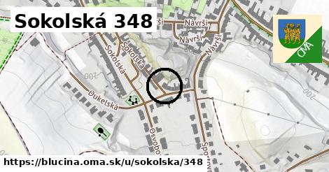 Sokolská 348, Blučina