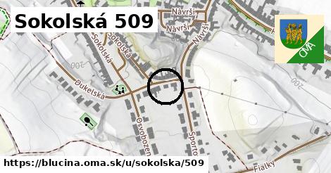 Sokolská 509, Blučina