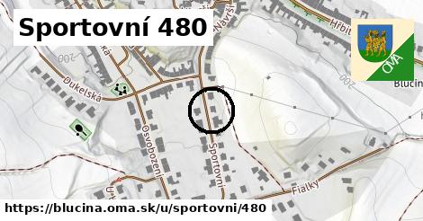 Sportovní 480, Blučina