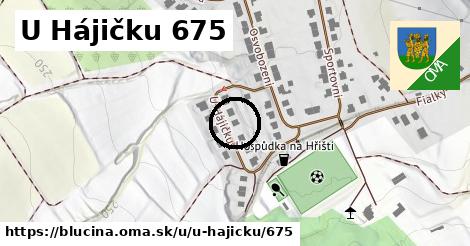 U Hájičku 675, Blučina