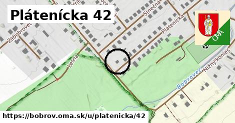 Plátenícka 42, Bobrov