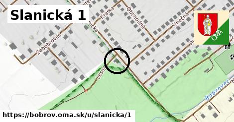 Slanická 1, Bobrov