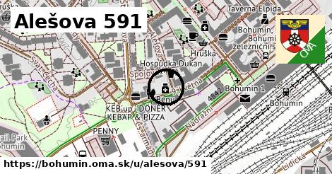 Alešova 591, Bohumín