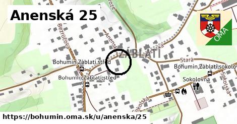 Anenská 25, Bohumín
