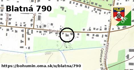 Blatná 790, Bohumín