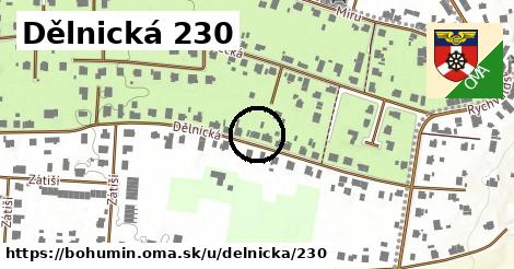 Dělnická 230, Bohumín