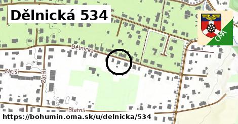 Dělnická 534, Bohumín