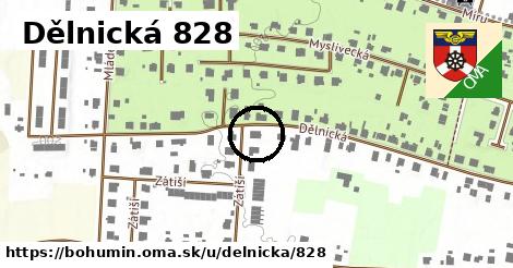 Dělnická 828, Bohumín