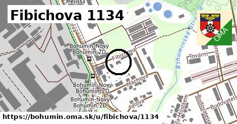 Fibichova 1134, Bohumín
