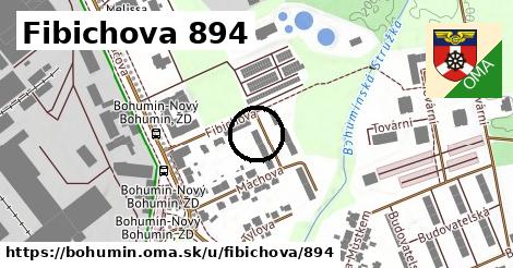 Fibichova 894, Bohumín