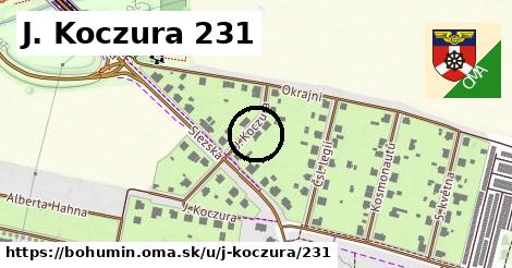 J. Koczura 231, Bohumín