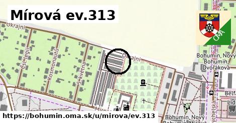 Mírová ev.313, Bohumín