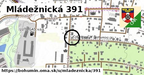 Mládežnická 391, Bohumín