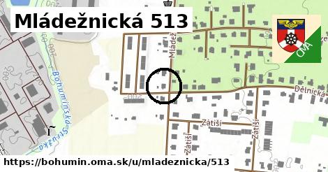 Mládežnická 513, Bohumín