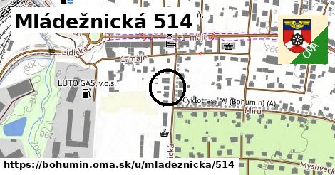 Mládežnická 514, Bohumín